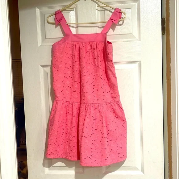 Pink Janie and Jack Dress